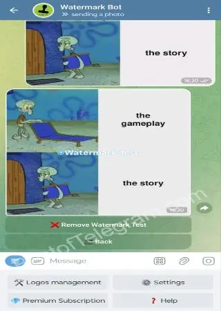Watermark Bot preview 3