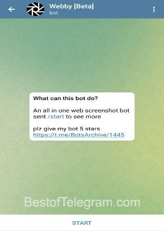 WebsiteSSBot bot step 1 