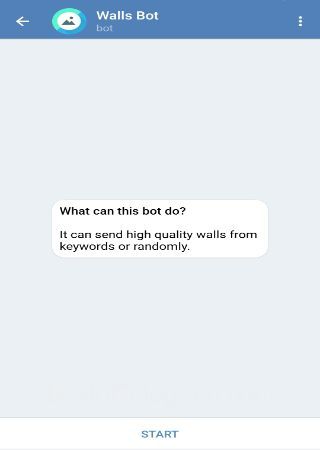 awesomewallsbot 1 