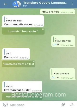 Translate Google Languages preview 3