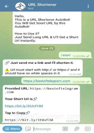 URL Shortener preview 2