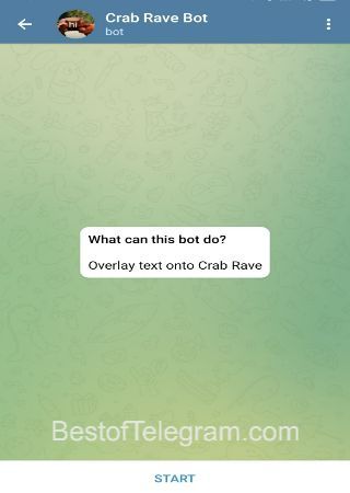 crabravebot bot step 1 