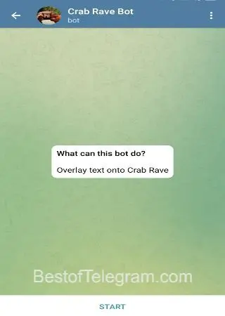 Crab Rave Bot preview 1