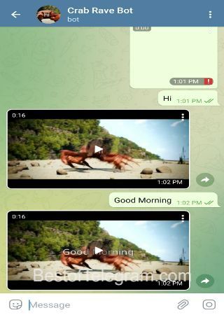 crabravebot bot step 2