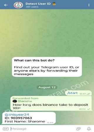 detect_user_id_bot bot step 2