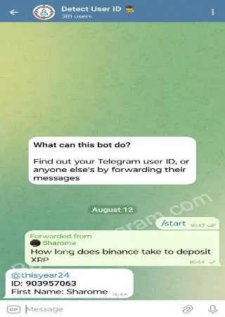 Detect User ID 🕵️‍♂️ preview 2
