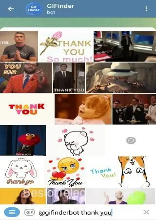 GIFinder preview 3