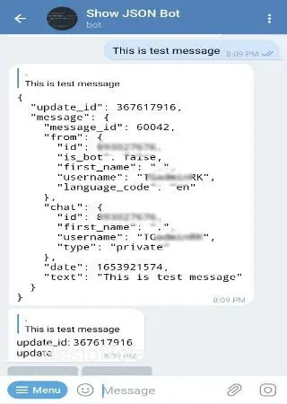 Show JSON Bot preview 2