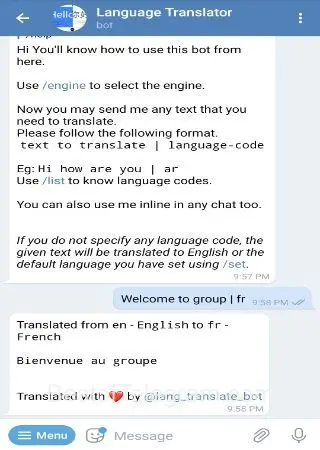 Language Translator preview 4