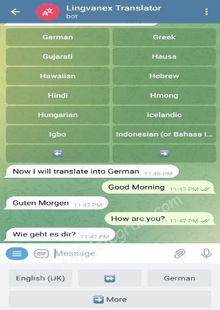 lingvanexbot bot step 3