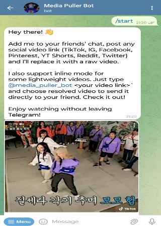 media_puller_bot bot step 2