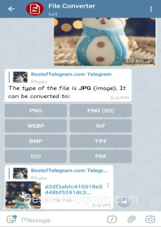 newfileconverterbot-step-2
