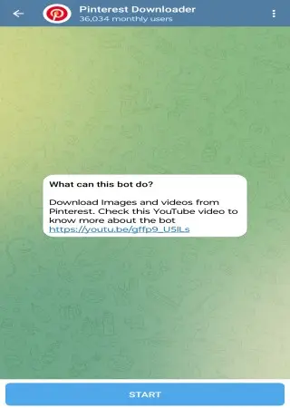 Pinterest Downloader preview 1