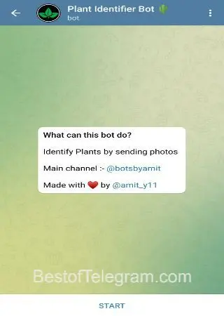 Plant Identifier Bot preview 1