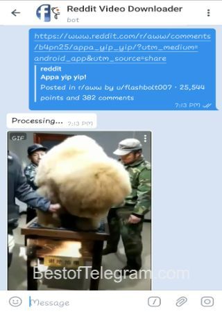 redditdownloader_bot step 2