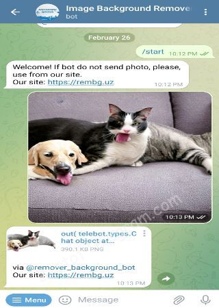 remover_background_bot bot step 2