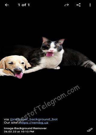 remover_background_bot bot step 3