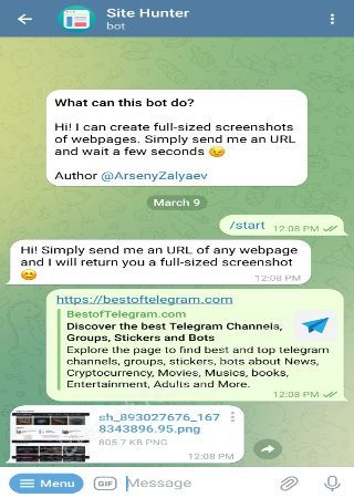 sitehunterbot bot step 2