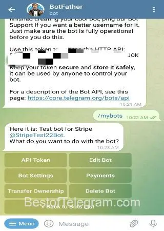 Stripe Bot preview 1