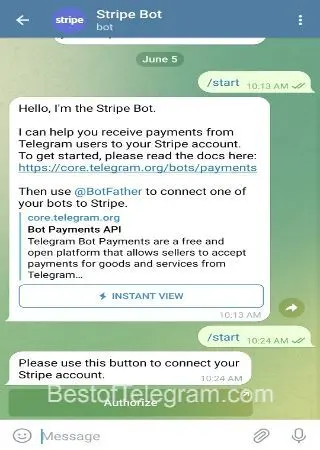 Stripe Bot preview 4