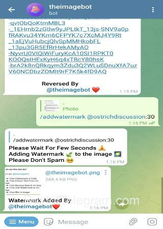 theimagebot bot step 4