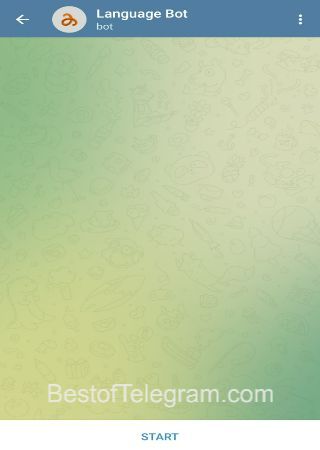 thelanguagebot bot step 1 