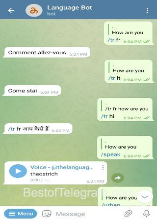 thelanguagebot bot step 2