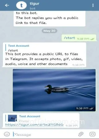 tlgur preview 2