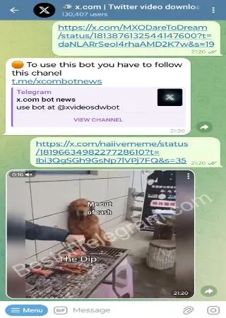 🐦 x.com | Twitter video downloader preview 2
