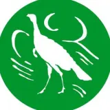 The American Spectator