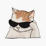 Bangla Memes 🇧🇩