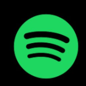 Spotify Bins