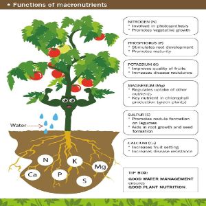 Agriculture Jobs™