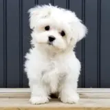 Cute and Fun Videos 🥰