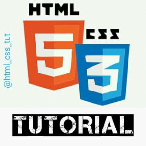 HTML and CSS Tutorials