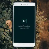 Photography & Editing