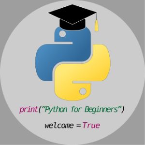 Python for Beginners