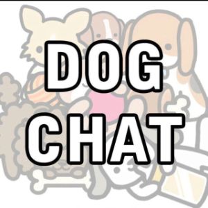 Dog Chat