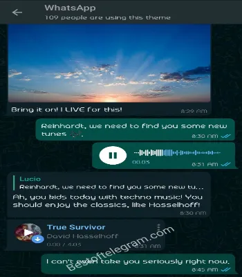 WhatsApp Dark Green preview