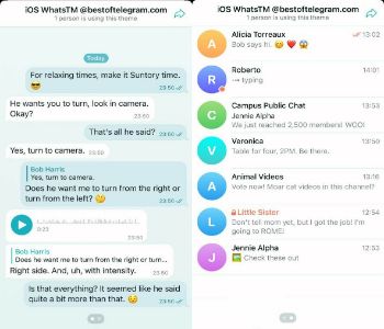 iOS WhatsApp Theme theme sample